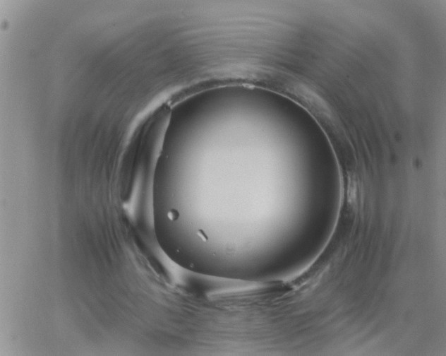 X0000065250388200602242055