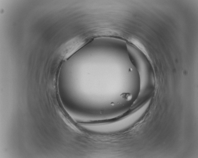 X0000065250389200602242055