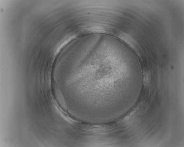 X0000065250390200602242055