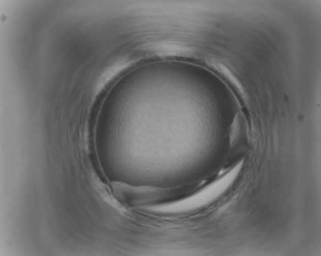 X0000065250391200602242055