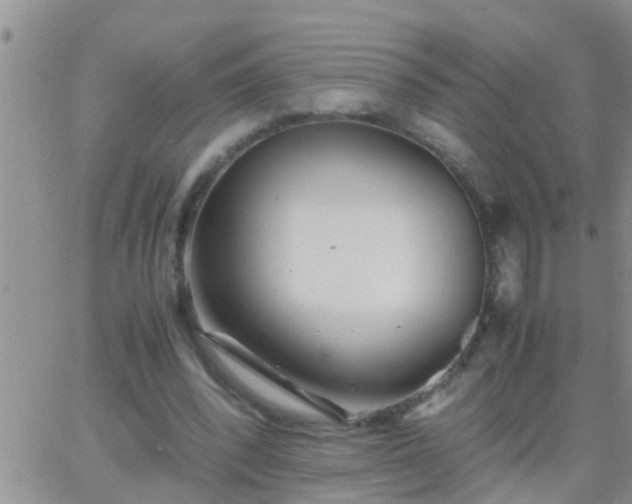 X0000065250392200602242055