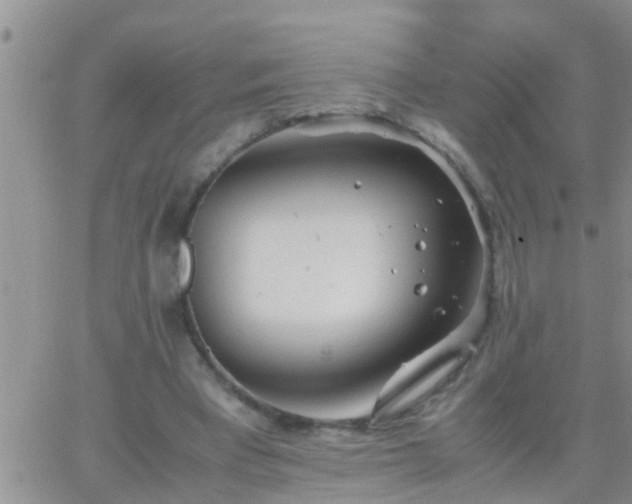 X0000065250393200602242055