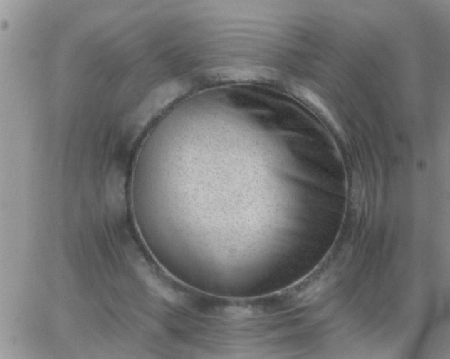 X0000065250394200602242055