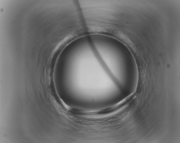 X0000065250395200602242055