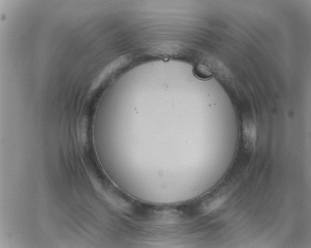 X0000065250396200602242055