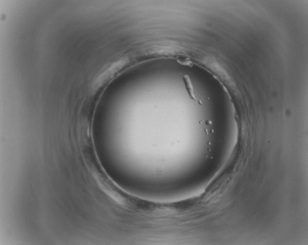 X0000065250397200602242055