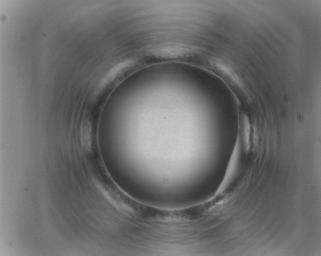 X0000065250400200602242055