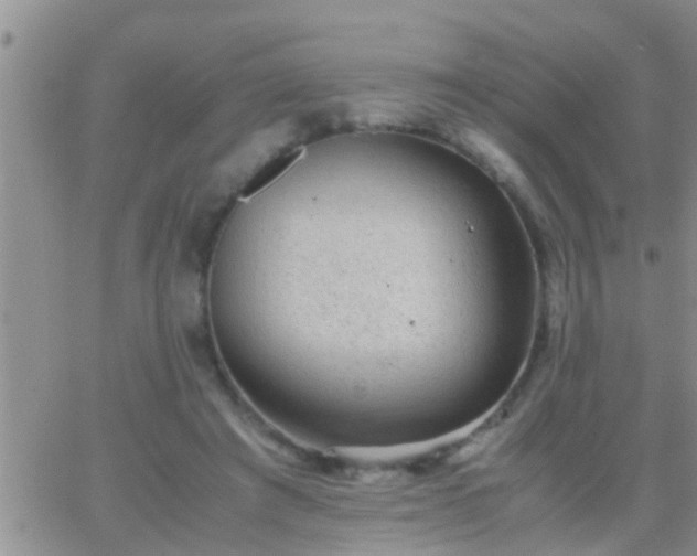 X0000065250401200602242055