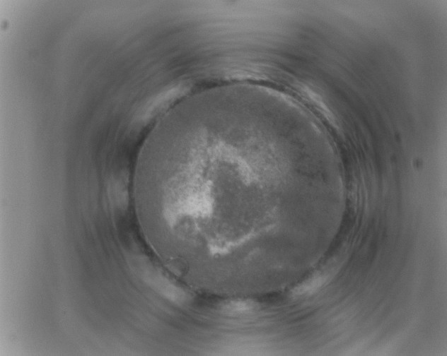 X0000065250402200602242055