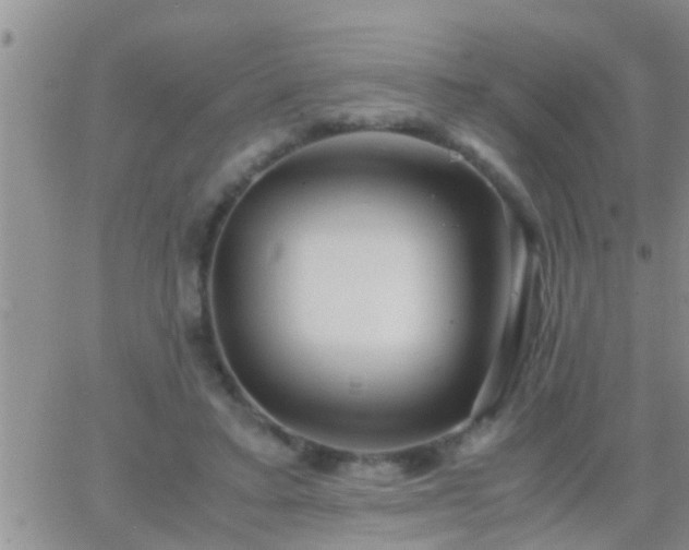 X0000065250403200602242055