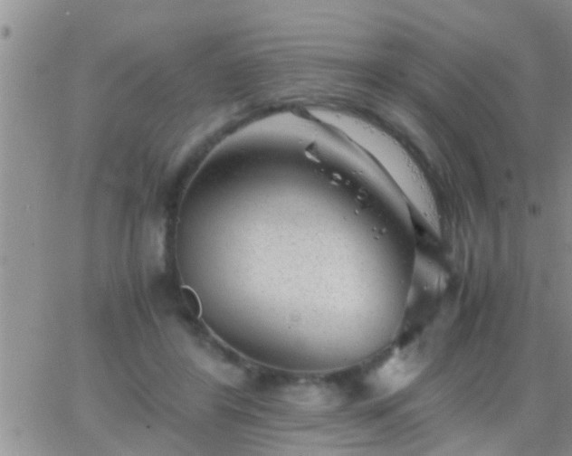 X0000065250404200602242055