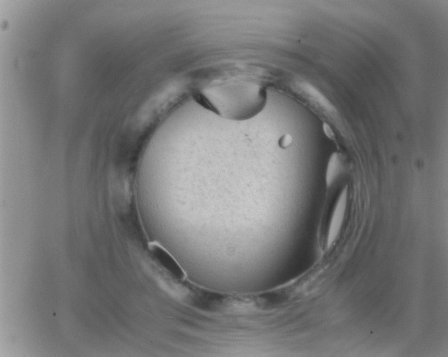 X0000065250405200602242055