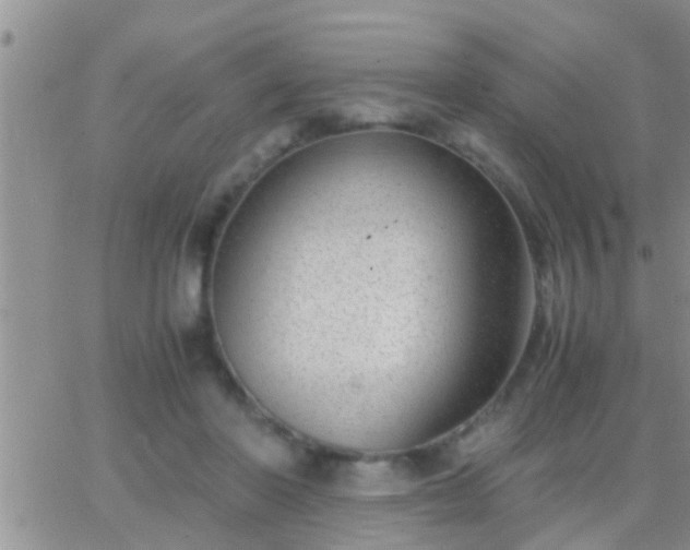 X0000065250406200602242055