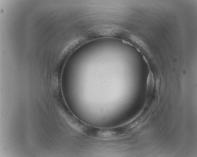 X0000065250407200602242055