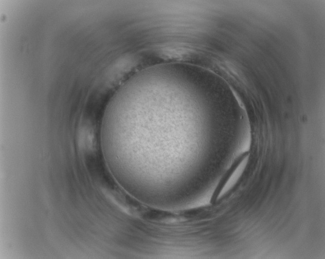 X0000065250408200602242055