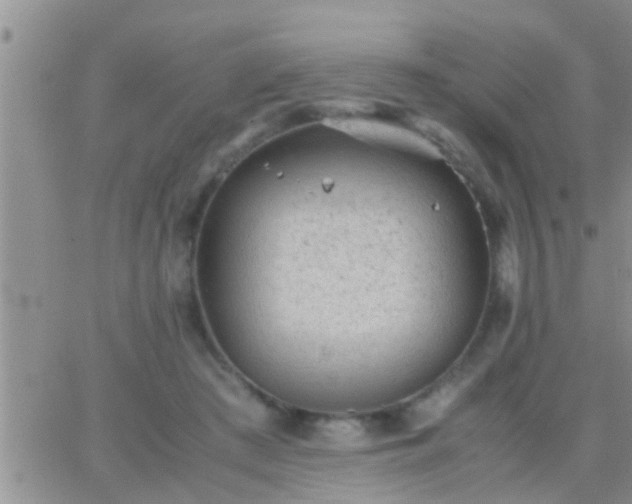 X0000065250409200602242055