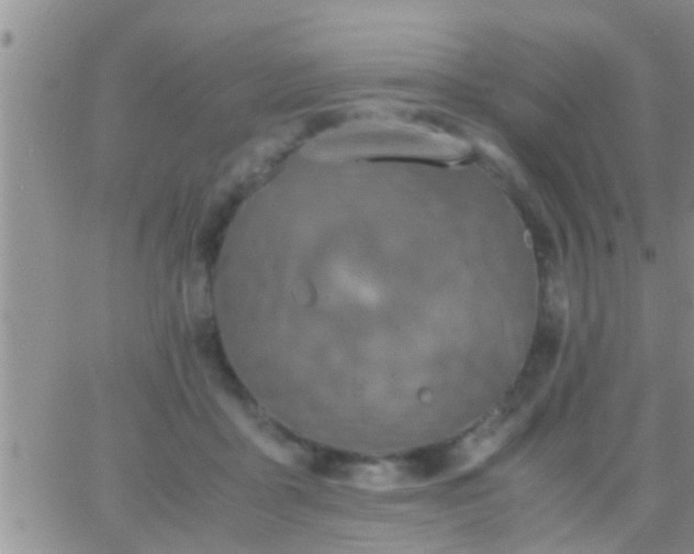 X0000065250411200602242054