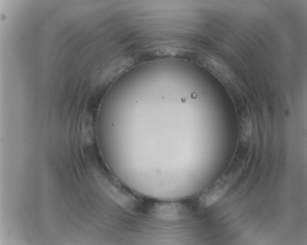 X0000065250414200602242054