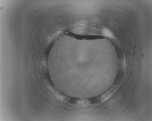 X0000065250415200602242054