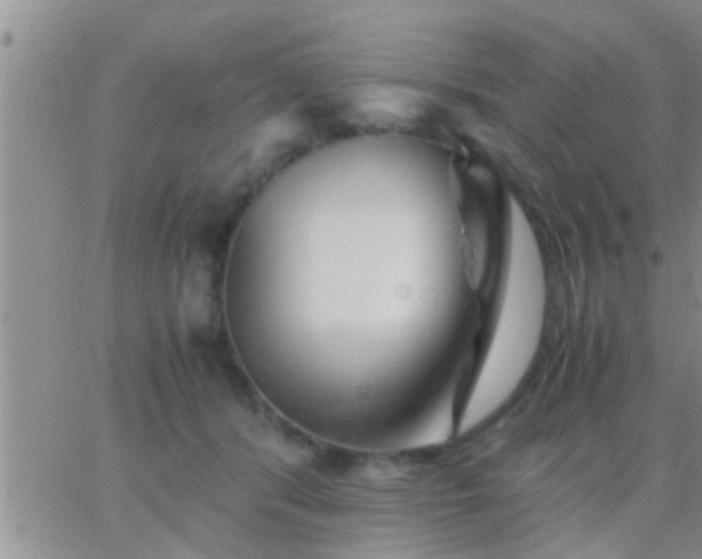 X0000065250416200602242054