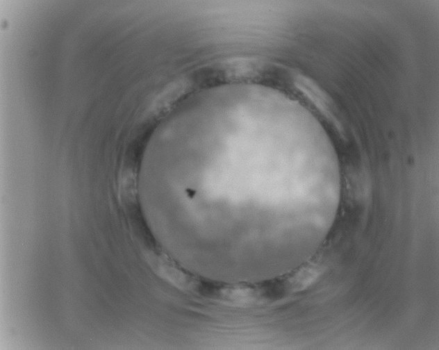 X0000065250419200602242054