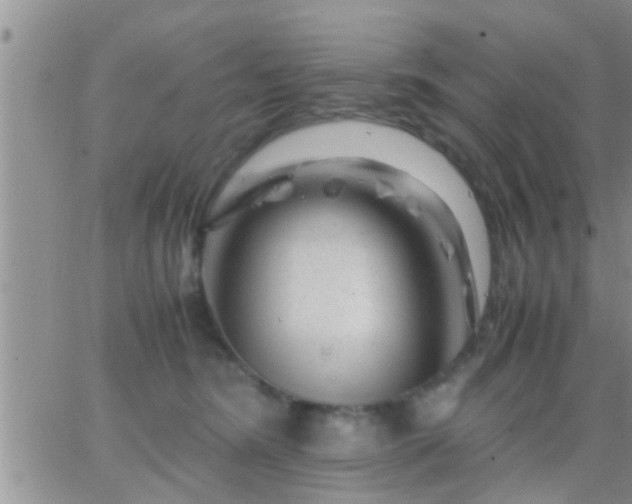 X0000065250420200602242054