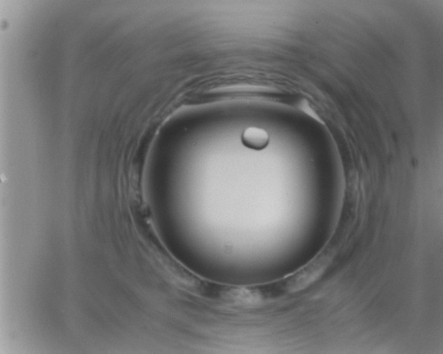 X0000065250421200602242054