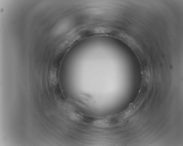 X0000065250422200602242054