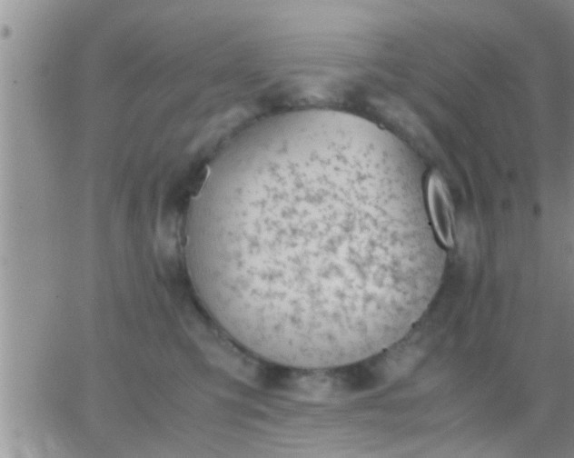 X0000065250423200602242054