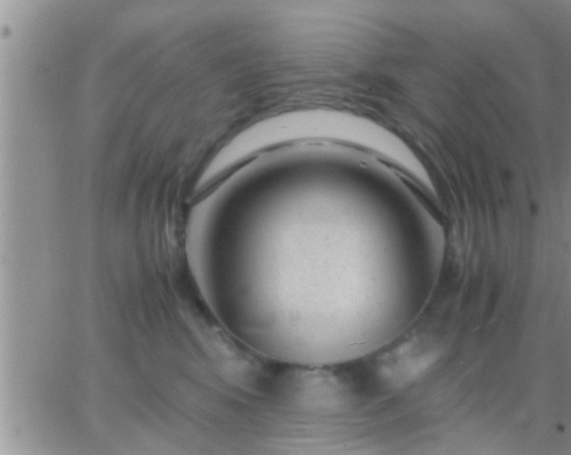 X0000065250424200602242054