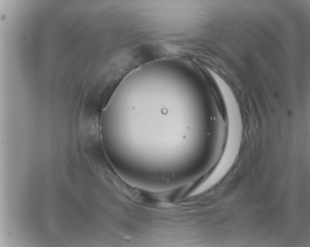 X0000065250425200602242054