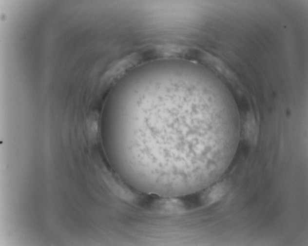 X0000065250427200602242054