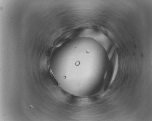 X0000065250428200602242054