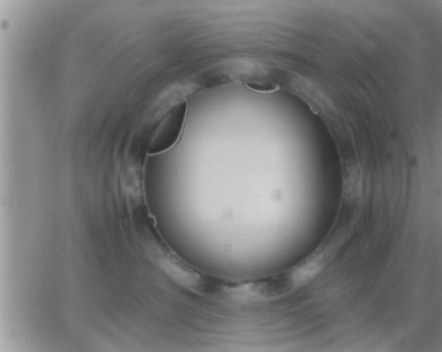 X0000065250430200602242054