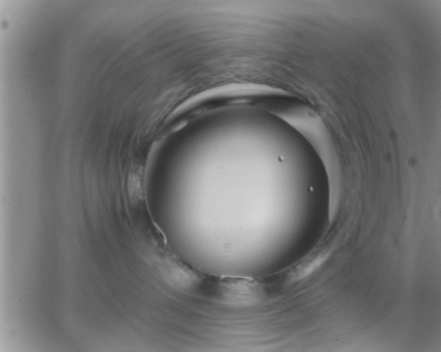 X0000065250432200602242054