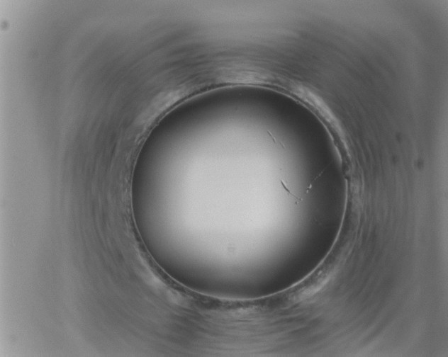 X0000065250433200602242053