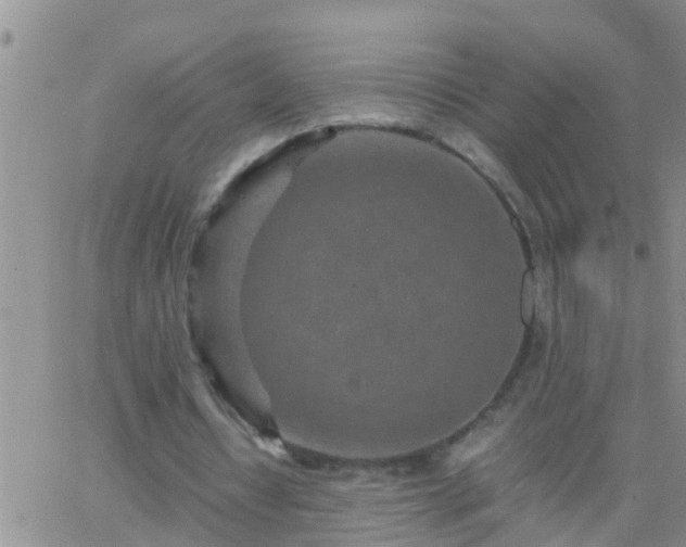 X0000065250434200602242053