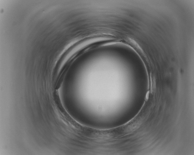 X0000065250435200602242053