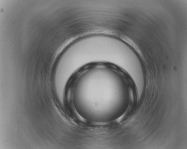 X0000065250436200602242053