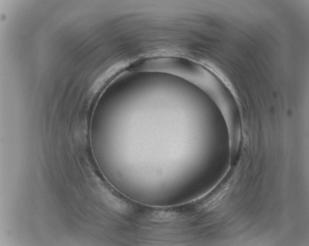 X0000065250437200602242053