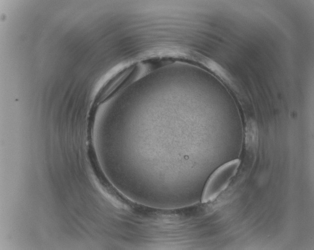 X0000065250438200602242053