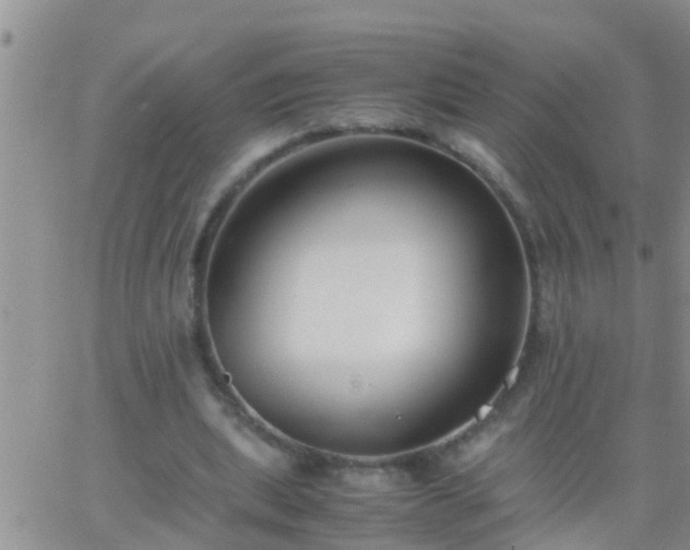 X0000065250439200602242053