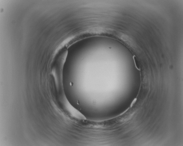 X0000065250440200602242053