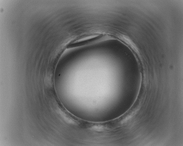 X0000065250441200602242054