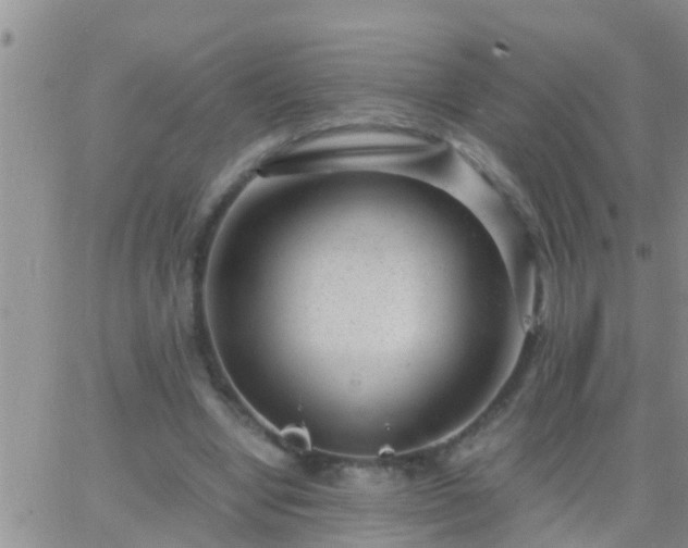 X0000065250442200602242054