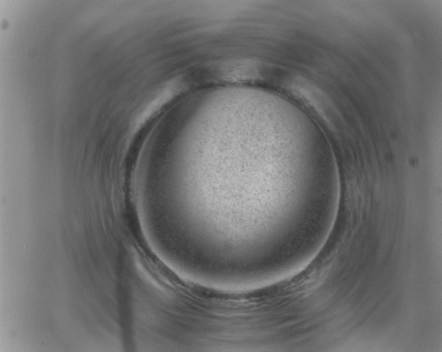 X0000065250443200602242054