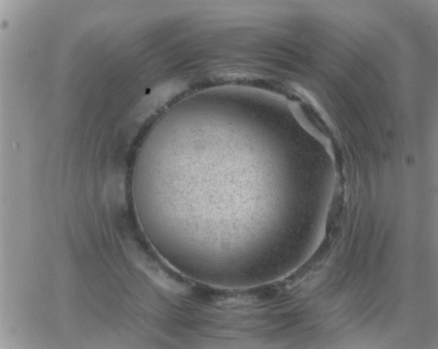 X0000065250447200602242054