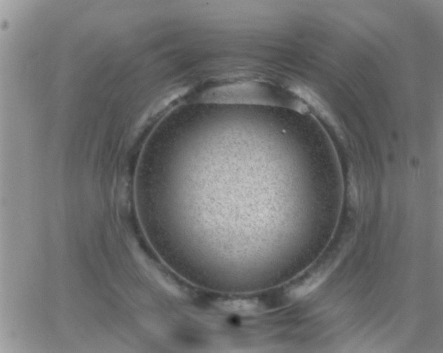 X0000065250449200602242054