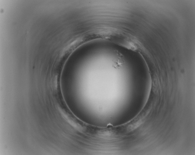 X0000065250454200602242054