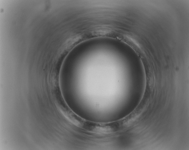 X0000065250455200602242054